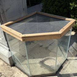 2’x2’ Pentagon Reptile Enclosure. Custom Wood Lid
