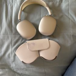 Apple Pro Max Headphones 