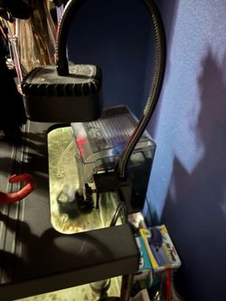 Fish tank