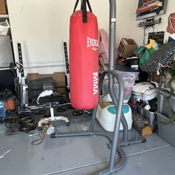 Everlast Punching Bag 