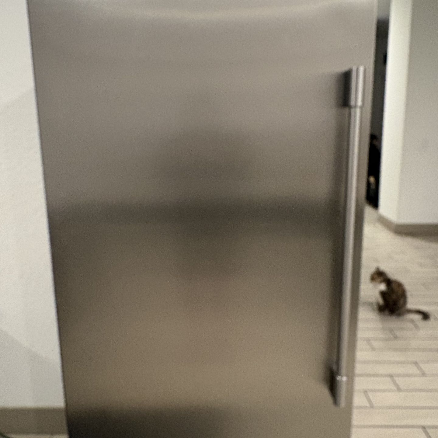 Frigidaire freezer