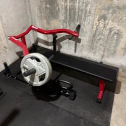 GMWD Weight Bench