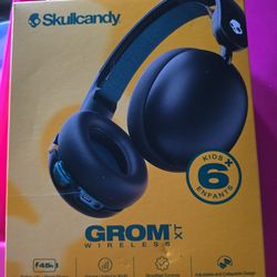 Skullcandy Kid Earphones