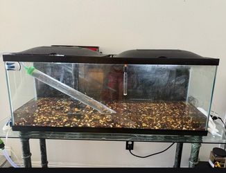 Fish tank 50 gallons