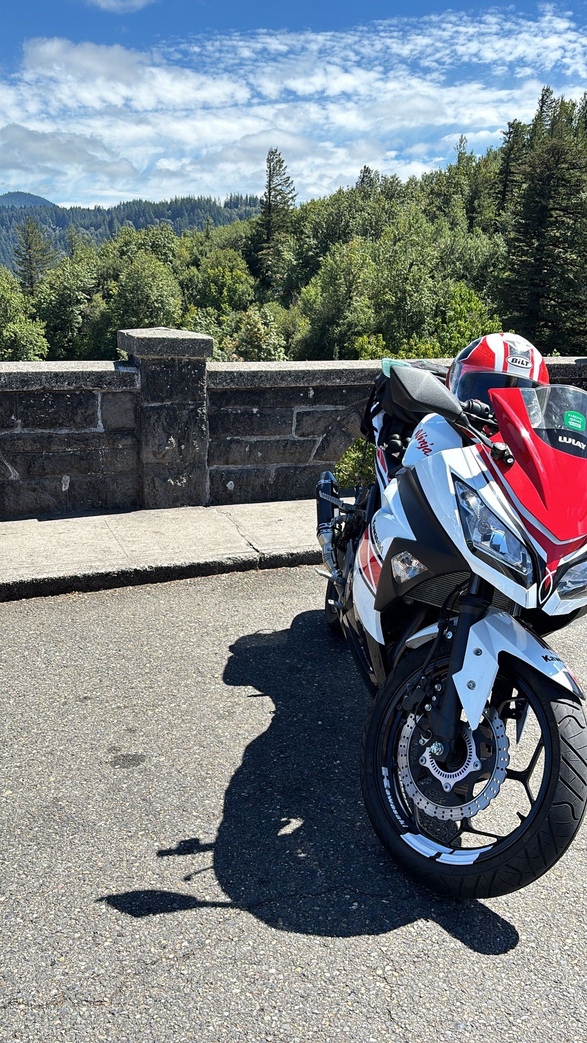2014 Kawasaki 300 abs