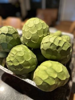 Fresh Cherimoya 9$