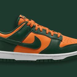 Nike dunks Miami 