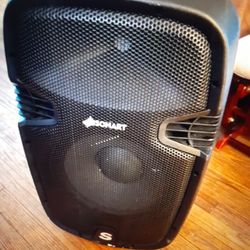 Sonart DJ Speaker