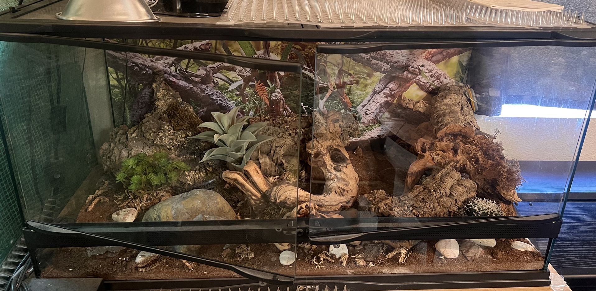 Reptihabitat 40 Gallon Front Opening Terrarium