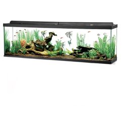 125 Gallon Glass Aquarium 