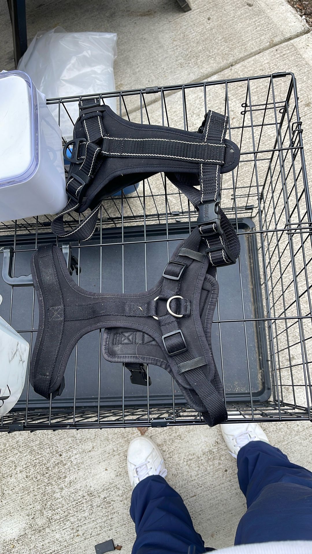Dog Harness