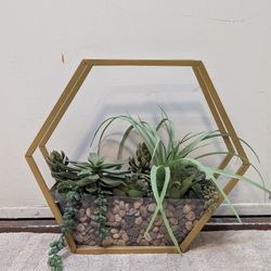 Beautiful golden Framed Fake Houseplant succulent Pebble Decor