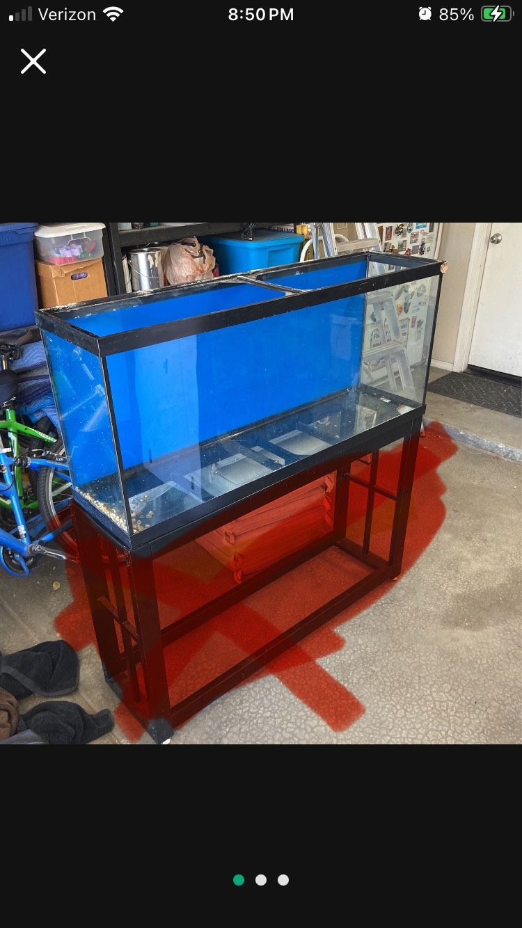 55 Gallon Aquarium/terrarium