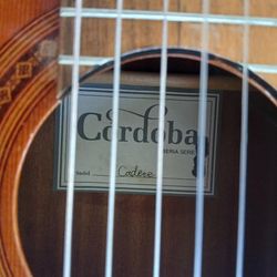 Classical acoustic guitar