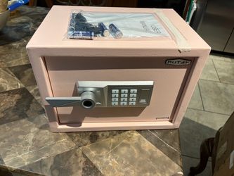 1.3 Cub Biometric Safe Box
