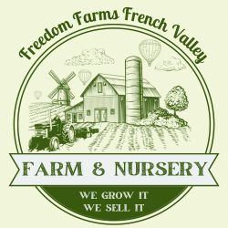 Fresh Produce - Farm Stand Saturday Morning