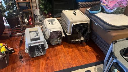 Dog Kennel Assorted Sizes