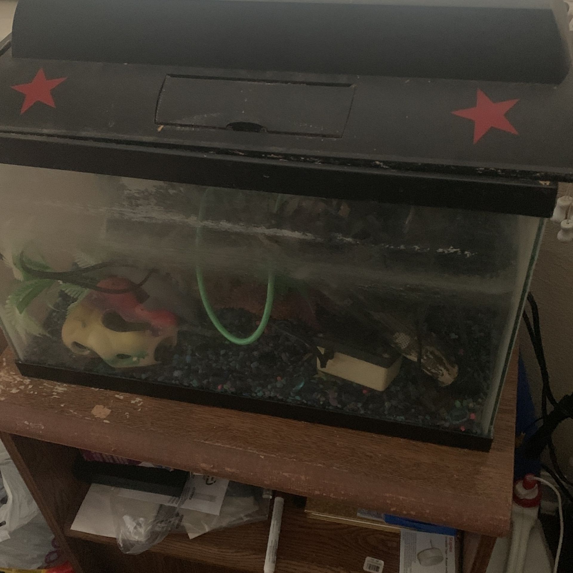 Fish Tank  100 Dollars 