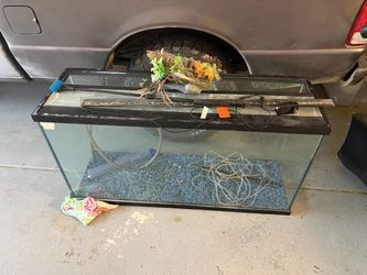 75 gallon fish tank