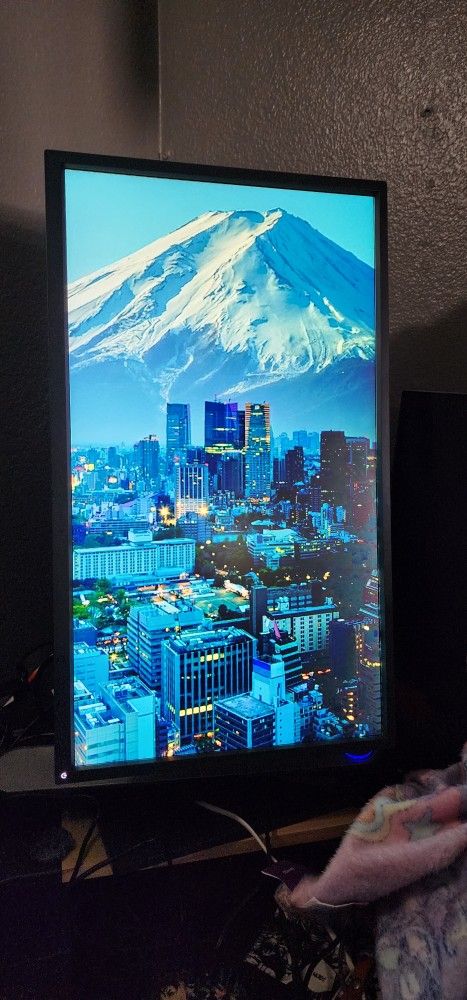 Pc/computer Monitor