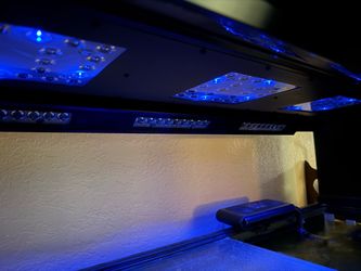Meridian 35 bundle