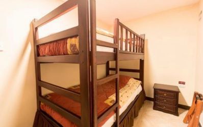 Dark Wood Twin Bunk Bed Frame