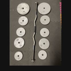 Weight Plates/ Curl Bar.         90 Dollars 