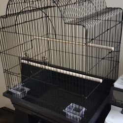 Bird Cage 