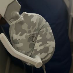 Turtle beach