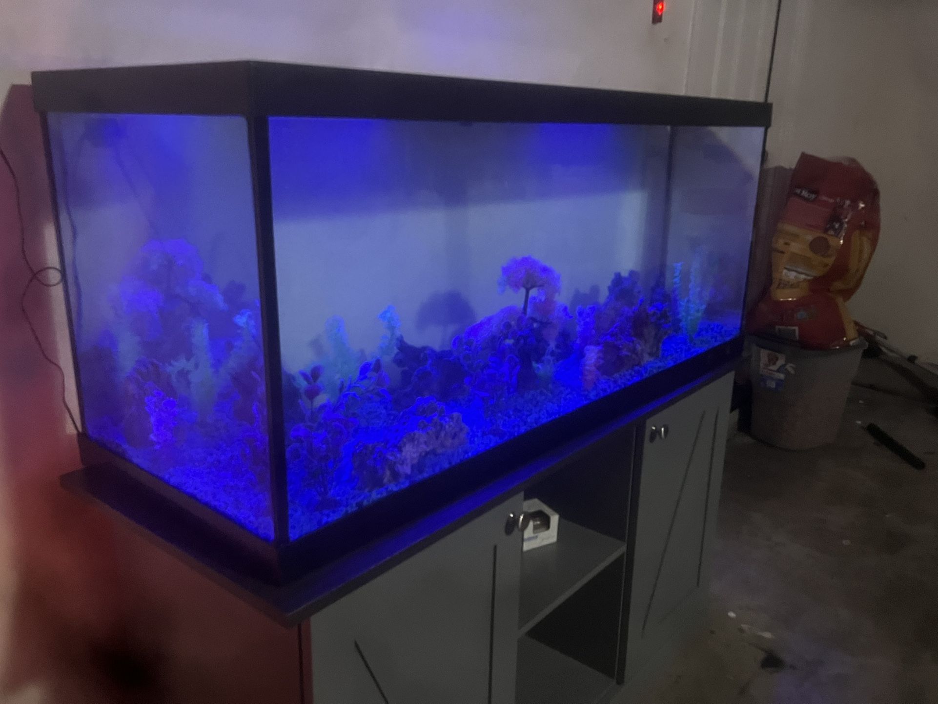 80 Gallon Fish Tank 