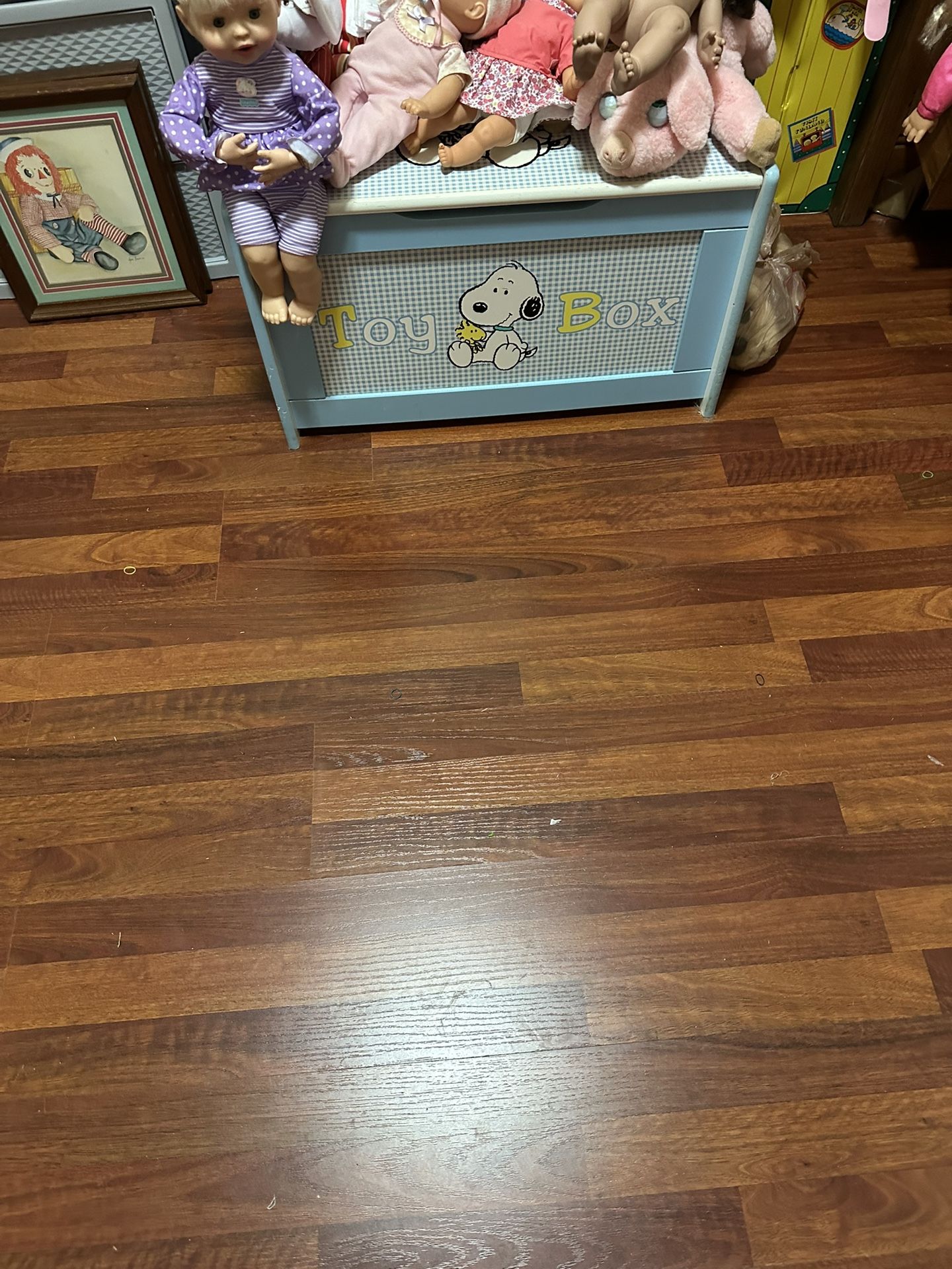 Vintage Snoopy Toy Box