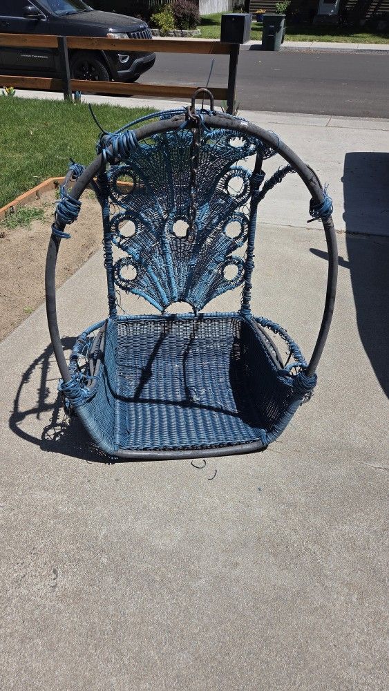 Pier1 Imports Hanging Egg Chair