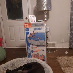 Pool With Free Lights $250