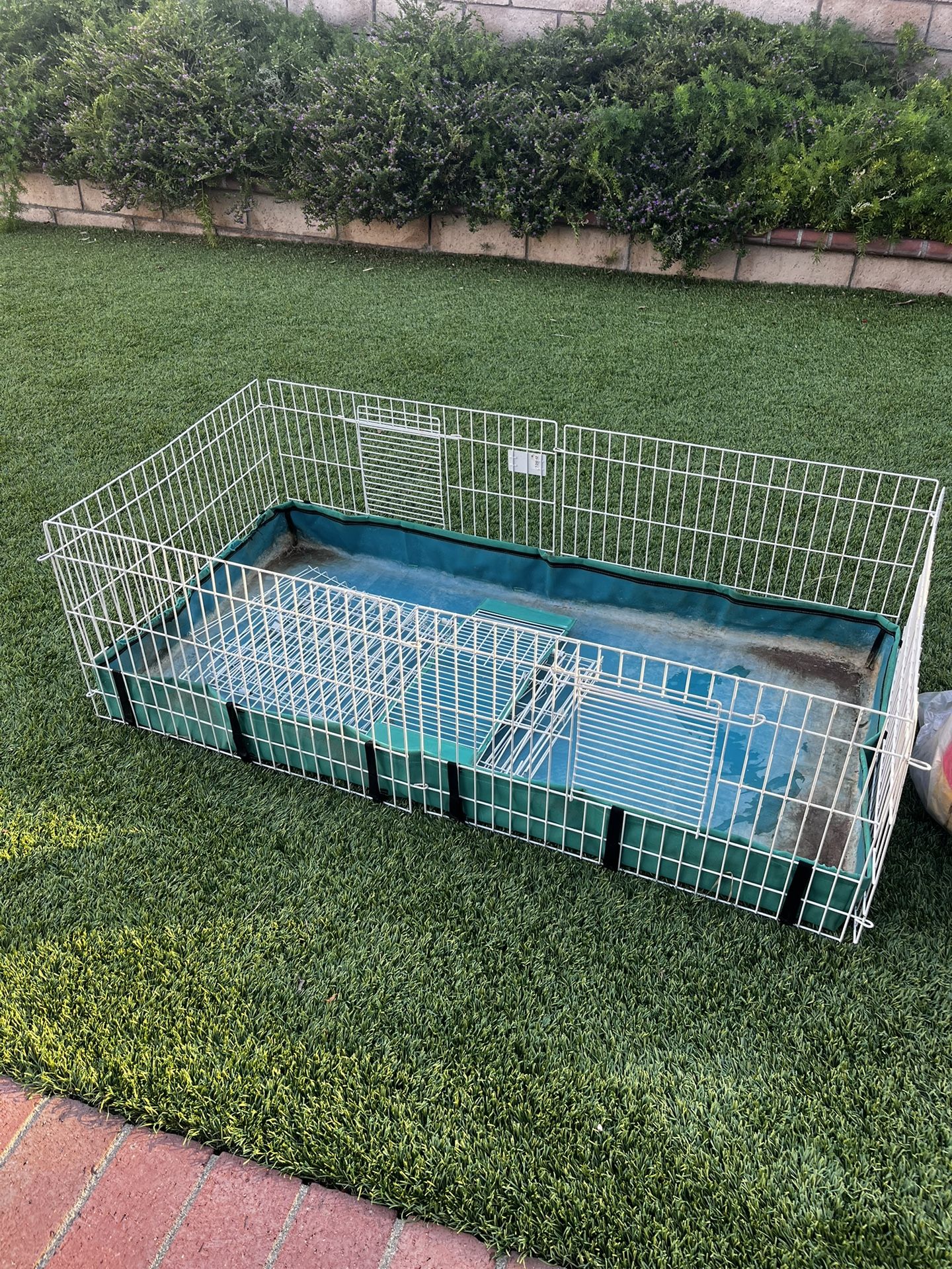 Guinea Pig Cage/Starter Kit