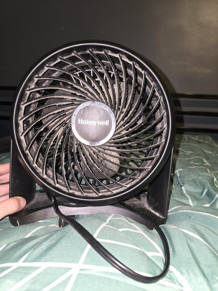 Fan 
