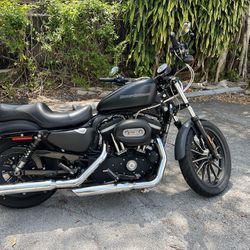 2010 Harley Sportster Iron 883 - $3900