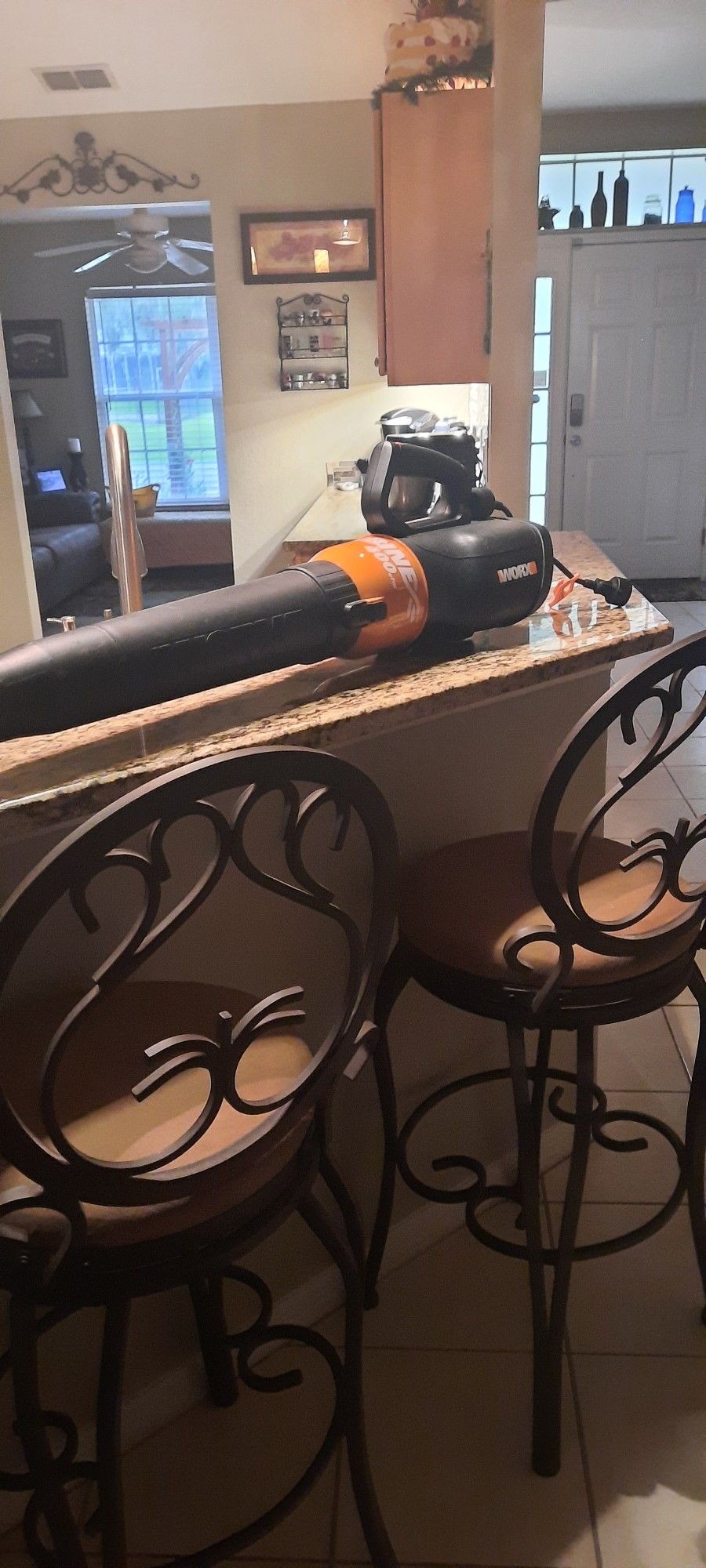 Leaf Blower