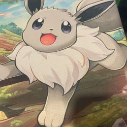 Pokémon Go Eevee Play Mat 