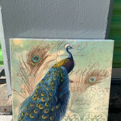 Peacock 🦚 Home Art 30$ 