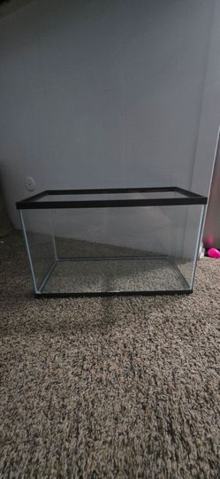 Glass fish tank