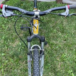 Clean Specialized Stump Jumper FSR XCn