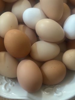 $3 Organic eggs
