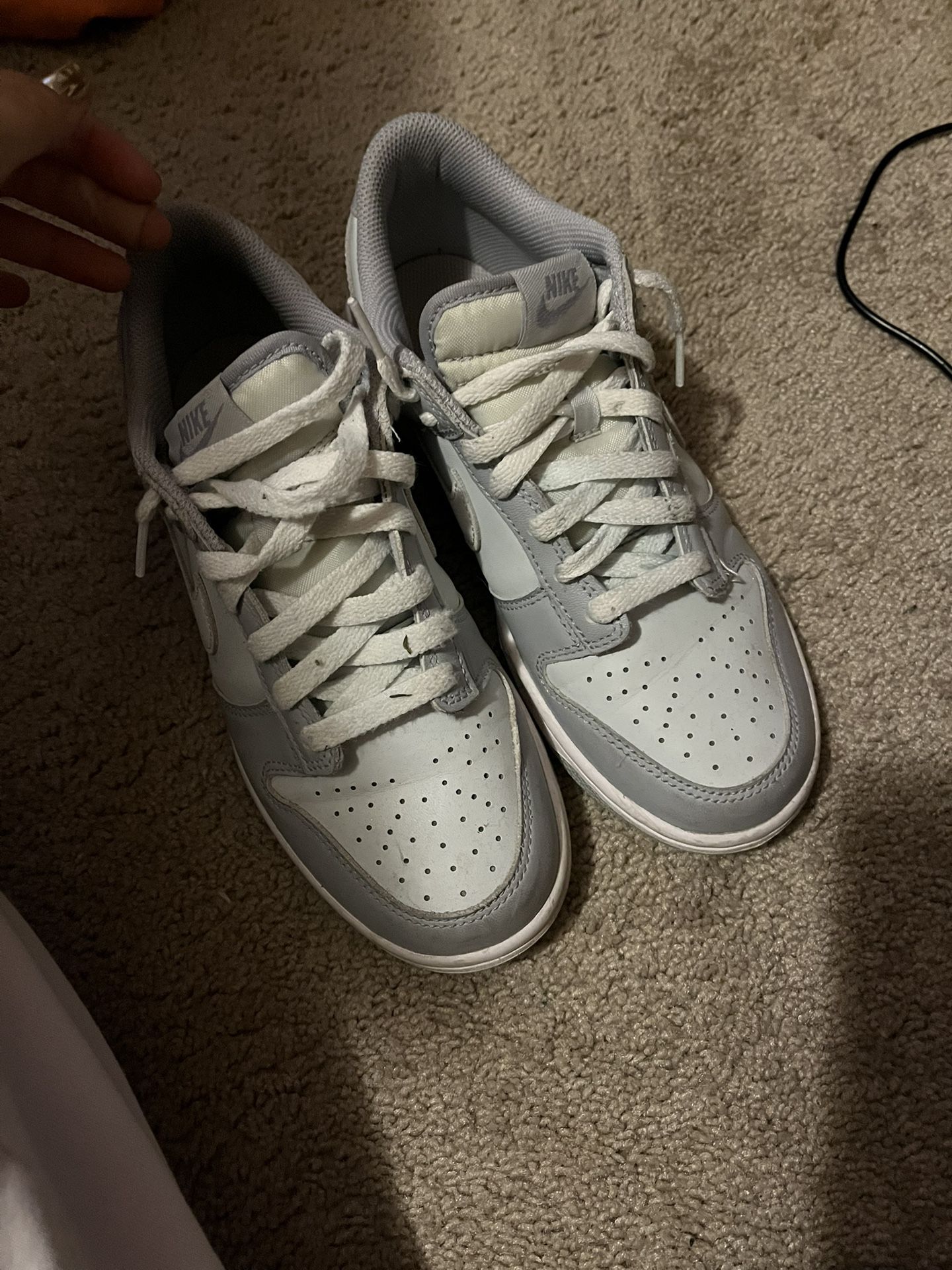 Wolf Grey Nike Dunks