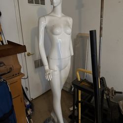 Manikin On Stand