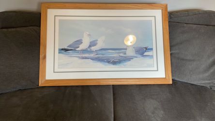Seagulls