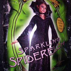 Costume Girls Size 4 5 6 Small SPARKLING SPIDERELLA $8 poinciana Kissimmee 34758