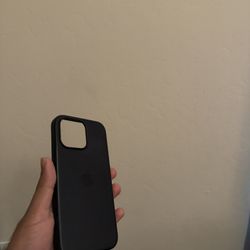 iPhone 13 Pro Max Case