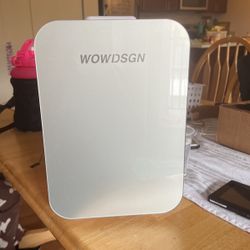 Cosmetic Or Mini Beverage Fridge 