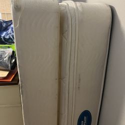 Queen Size Simmons Matress/Spring Box