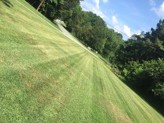 Grass Grass Cut